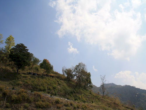 United 21 Nature Paradise Hotel Naukuchiatal Exterior photo